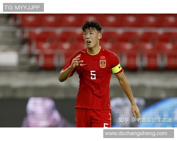 中国足球明星身价排名揭秘谁是最值钱的球员与他们的成就分析